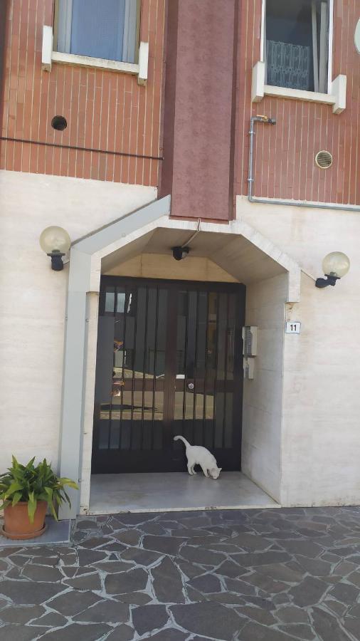 Laghetto * Peschiera del Garda
